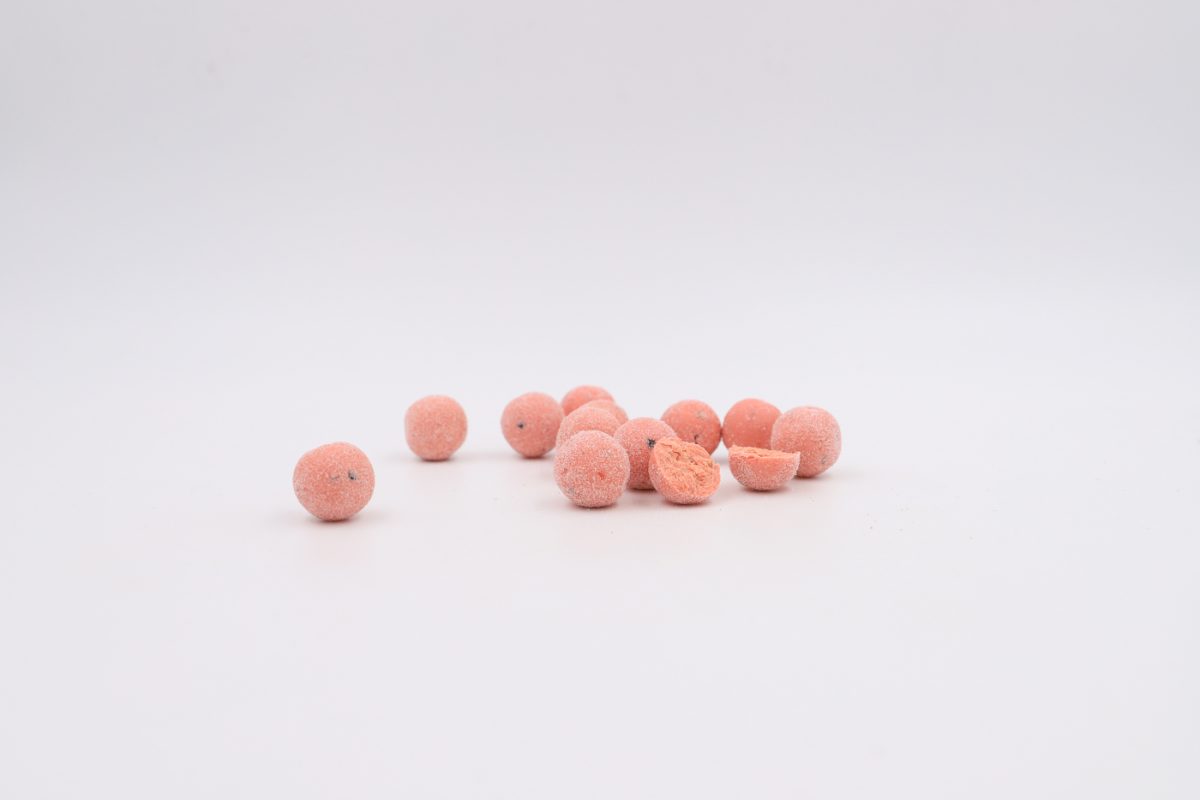 baitlounge