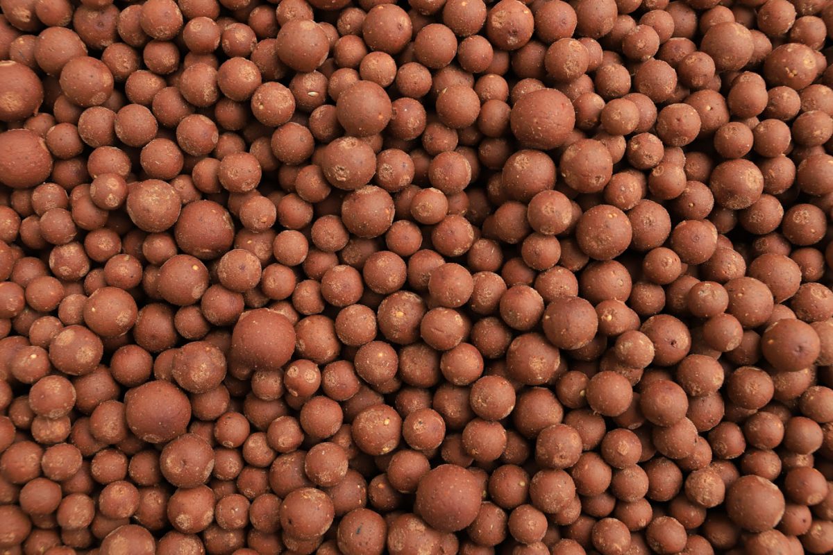 baitlounge
